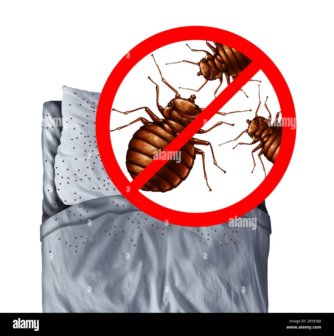 Bettwanzen-Entdeckung und Bettwanzen-Ausrottung oder Bettwanzen-Ausrottung-Befallskonzept als Schädlingsbekämpfung parasitärer Insektenschädlinge auf einem Kissen Stockfoto
