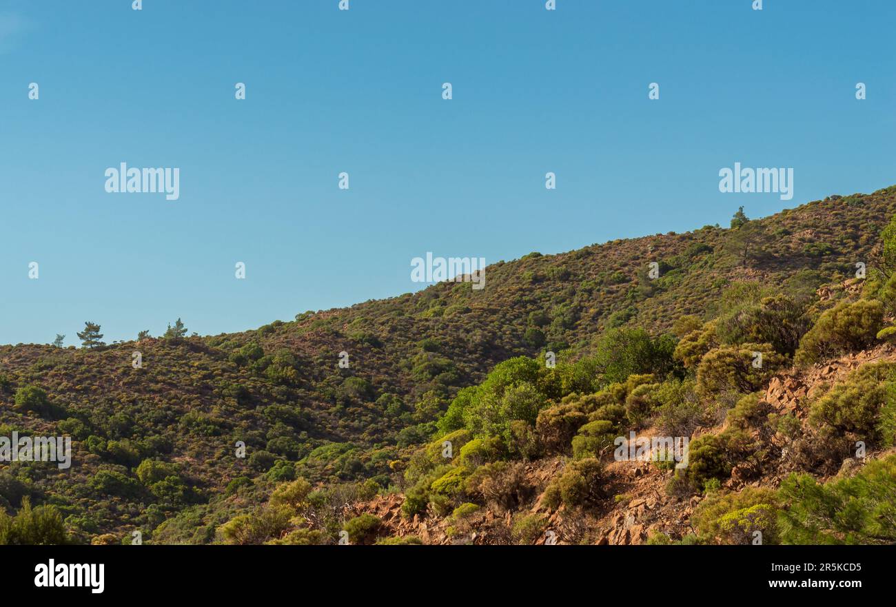 Naturlandschaft. Ein natürlicher Hügel im Frühling und Bäume mit blauem Himmel. Stockfoto
