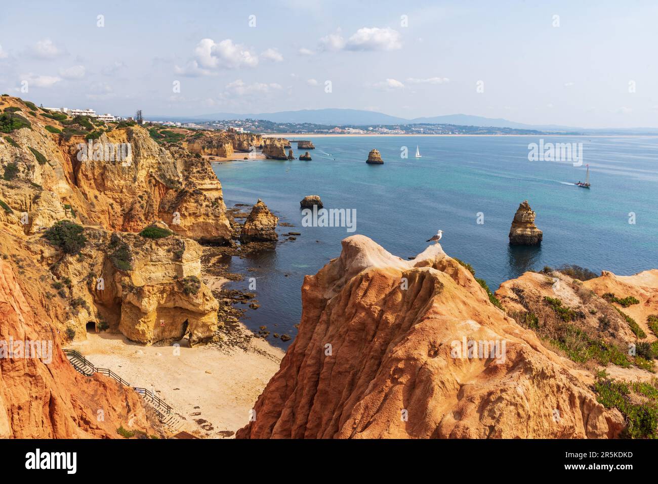 Playa do Camilo Strand zwischen den Klippen in der Nähe der Stadt Lagos, Algarve. Stockfoto