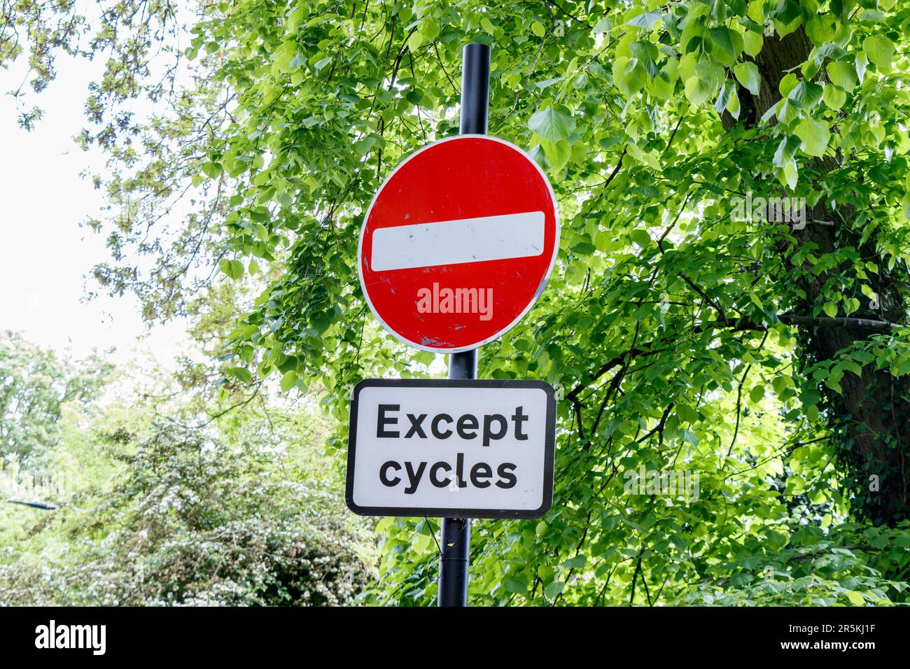 Straßenschild, das den Einstieg in alle Fahrzeuge außer Fahrräder verbietet, London, UK Stockfoto