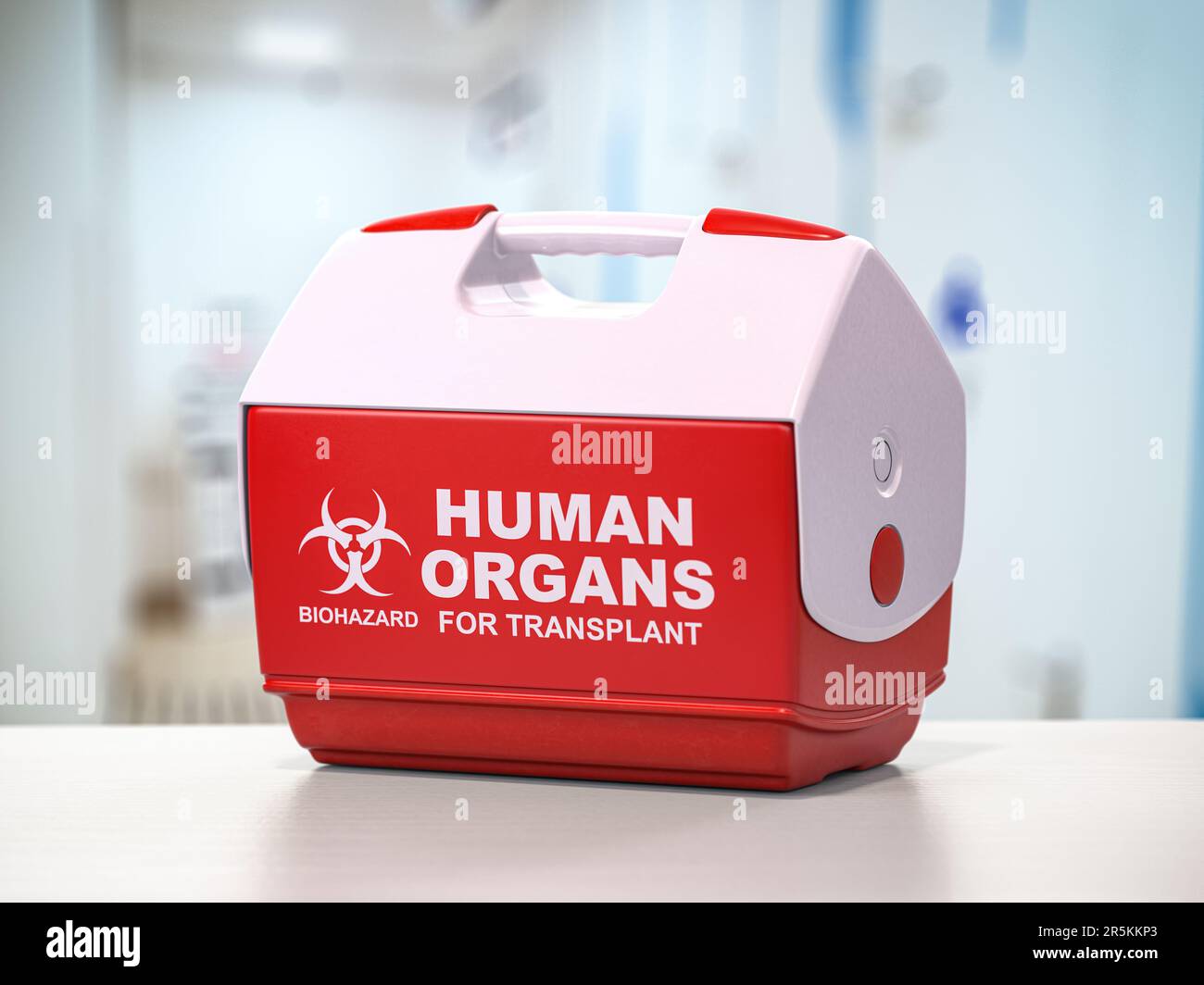 Menschliches Organ für Transplantations-Kühlbox. 3D Abbildung Stockfoto