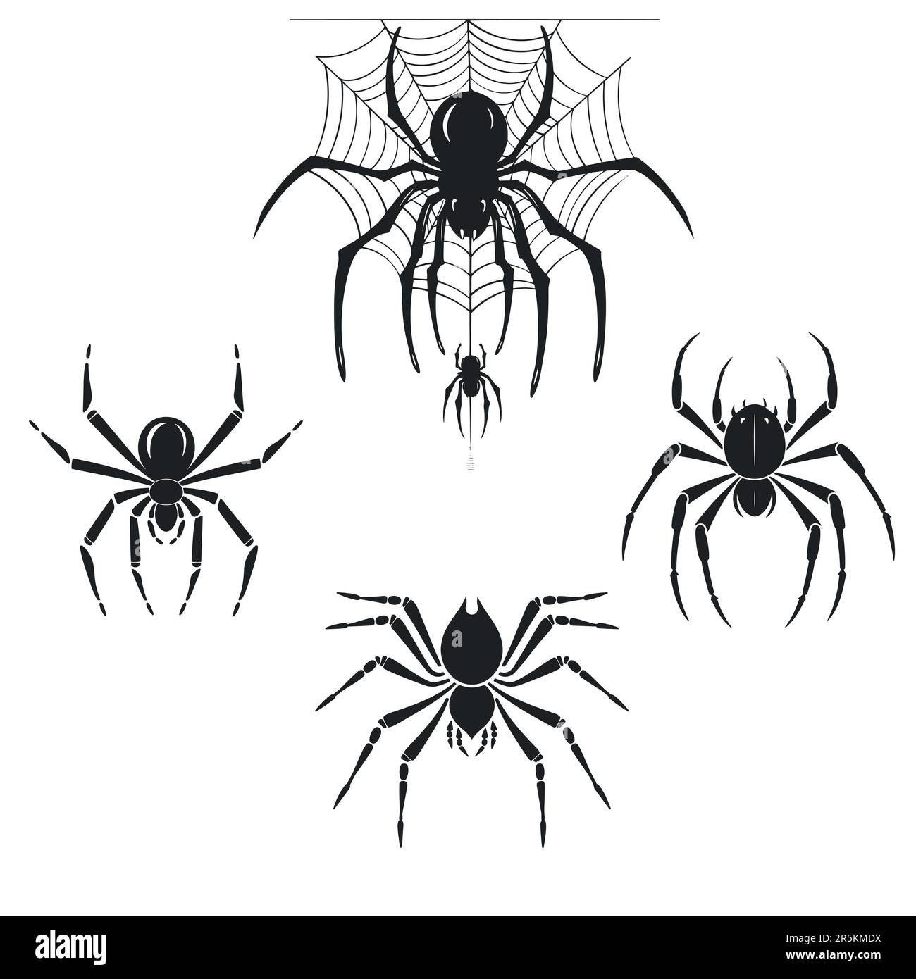 4 Spider-Silhouetten auf weißem Hintergrund. Vektordarstellung Stock Vektor