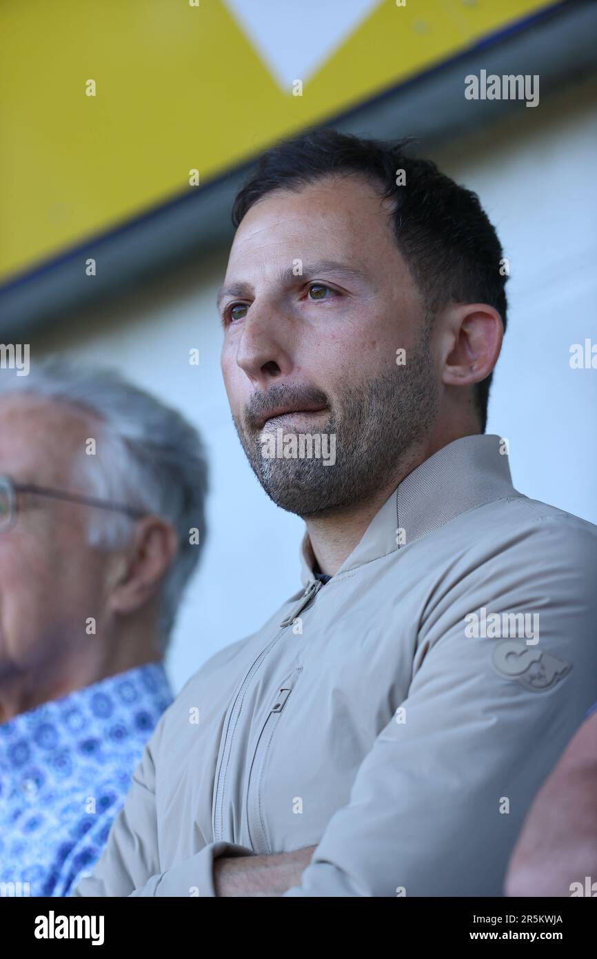 Genk, Belgien. 04. Juni 2023. Der belgische Cheftrainer Domenico Tedesco nimmt am Sonntag, den 04. Juni 2023 in Genk, am letzten Tag der Spiele der Champions in der ersten Division der belgischen Meisterschaft „Jupiler Pro League“ von 2022-2023 an einem Fußballspiel zwischen KRC Genk und dem FC Royal Antwerpen Teil. BELGA FOTO DAVID PINTENS Kredit: Belga News Agency/Alamy Live News Stockfoto