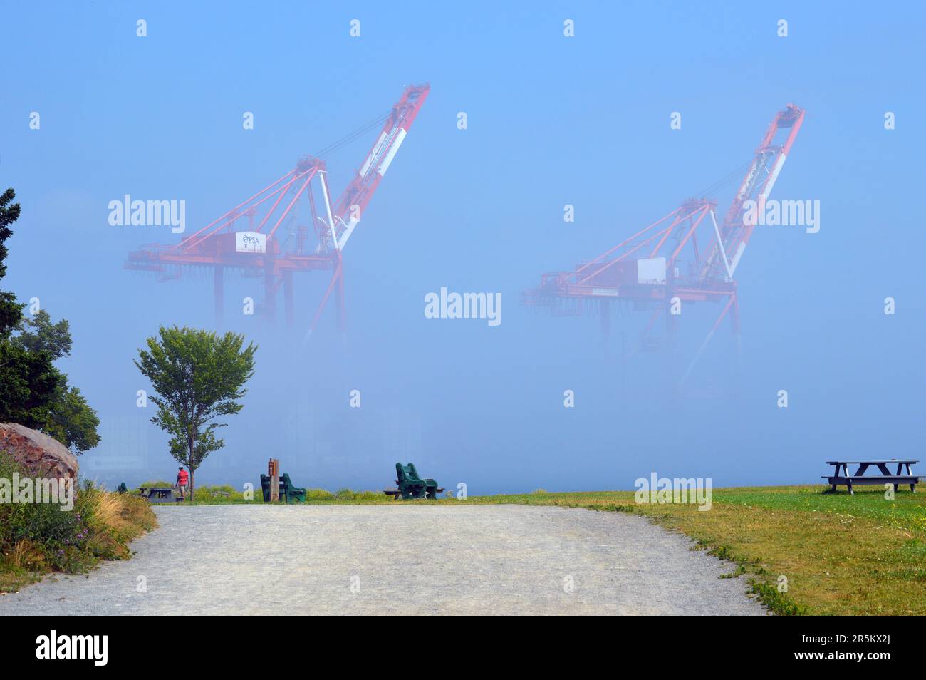Containerkrane des Hafens von Halifax aus Sicht des Point Pleasant Park in Halifax, Nova Scotia, Kanada Stockfoto