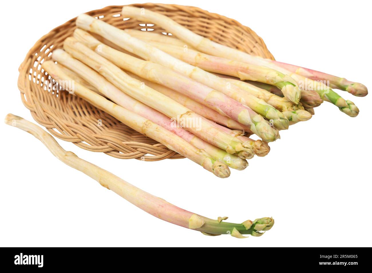 Deutscher Weißer Spargel frisch und biologisch Stockfoto