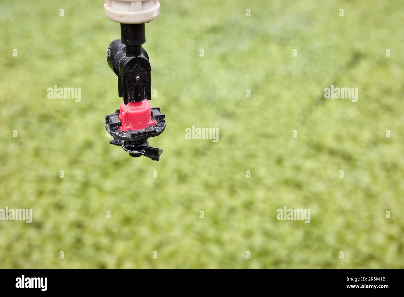 Nahaufnahme eines Gartenbauers mit hängendem Sprinkler, selektiver Fokus. Stockfoto