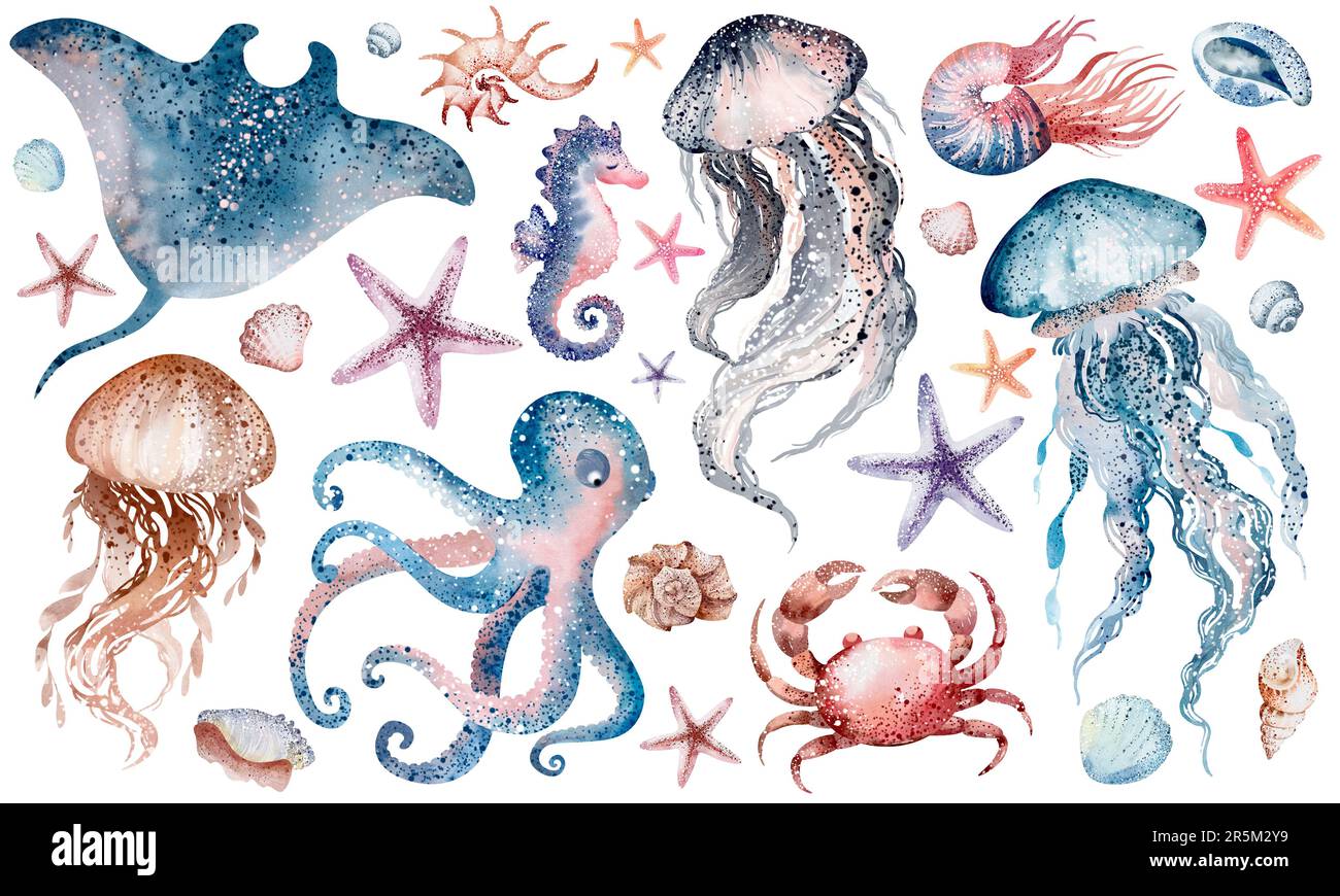 Aquarelle Illustrationen von Unterwassertieren Tintenfisch, Seepferdchen, Krabben, Seesterne, Quallen. Meeresbewohner der Unterwasserwelt. Stockfoto
