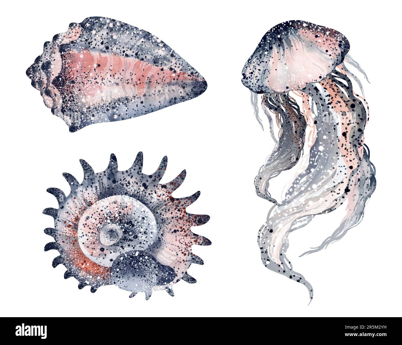 Aquarelle Illustrationen von Unterwassertieren Tintenfisch, Seepferdchen, Krabben, Seesterne, Quallen. Meeresbewohner der Unterwasserwelt. Stockfoto