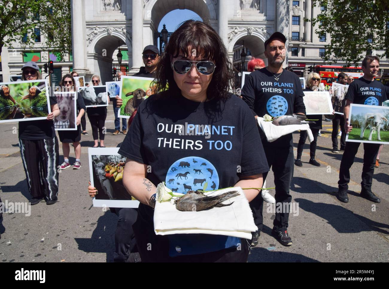 London, Großbritannien. 04. Juni 2023. Ein Aktivist hält einen toten Vogel während des Protests fest. Aktivisten mit Bildern von Tieren und einige mit echten toten Tieren versammelten sich am National Animal Rights Day neben Marble Arch, um an die Milliarden von Tieren zu erinnern, die weltweit von Menschen ausgebeutet, missbraucht und getötet wurden. Kredit: SOPA Images Limited/Alamy Live News Stockfoto