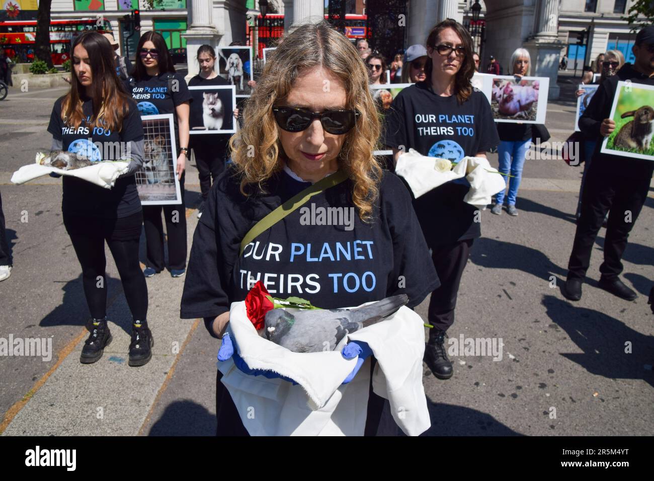 London, Großbritannien. 04. Juni 2023. Ein Aktivist hält eine tote Taube während des Protests fest. Aktivisten mit Bildern von Tieren und einige mit echten toten Tieren versammelten sich am National Animal Rights Day neben Marble Arch, um an die Milliarden von Tieren zu erinnern, die weltweit von Menschen ausgebeutet, missbraucht und getötet wurden. Kredit: SOPA Images Limited/Alamy Live News Stockfoto