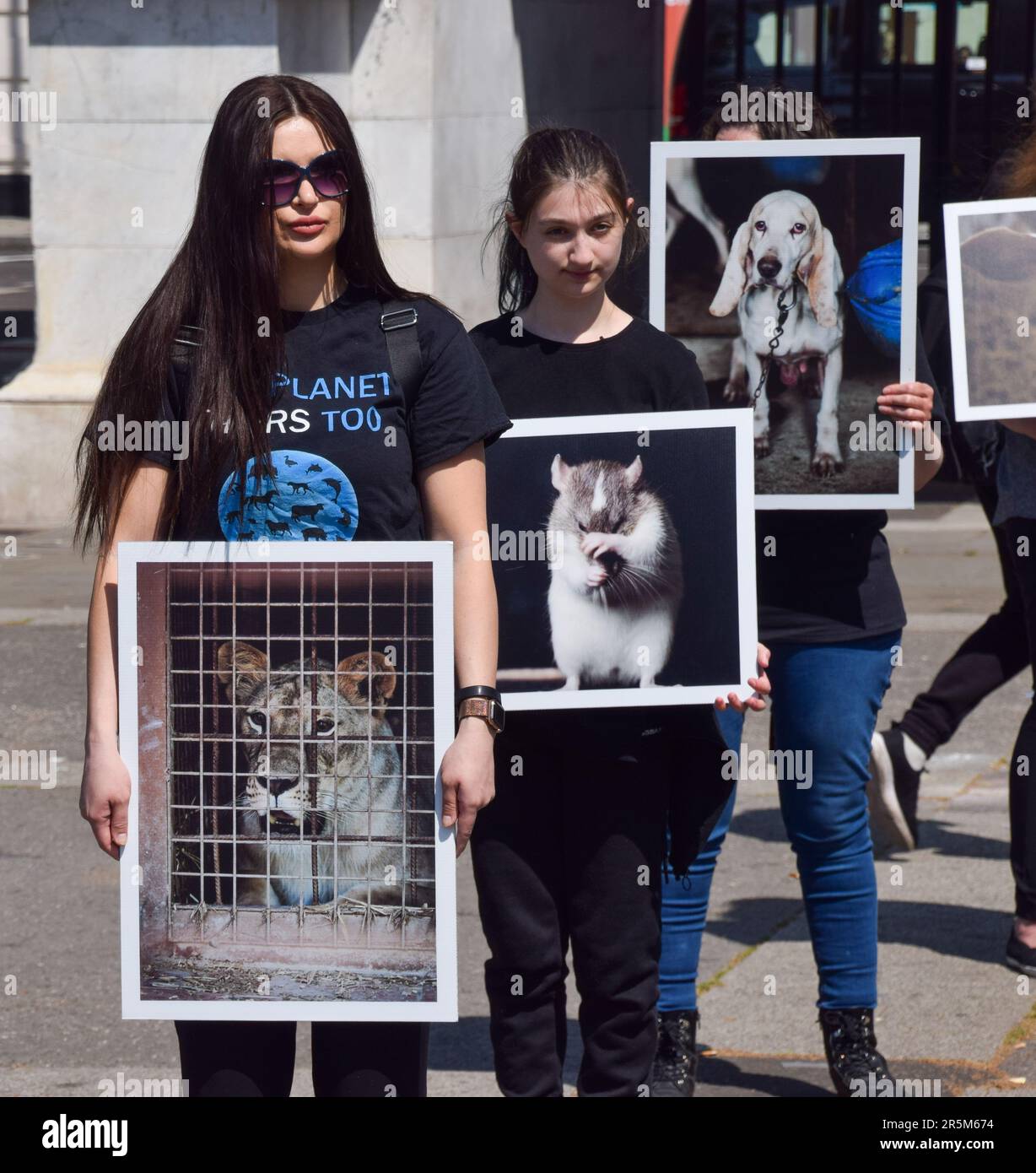 London, Großbritannien. 04. Juni 2023. Aktivisten halten während des Protests Fotos von Tieren. Aktivisten mit Bildern von Tieren und einige mit echten toten Tieren versammelten sich am National Animal Rights Day neben Marble Arch, um an die Milliarden von Tieren zu erinnern, die weltweit von Menschen ausgebeutet, missbraucht und getötet wurden. (Foto: Vuk Valcic/SOPA Images/Sipa USA) Guthaben: SIPA USA/Alamy Live News Stockfoto