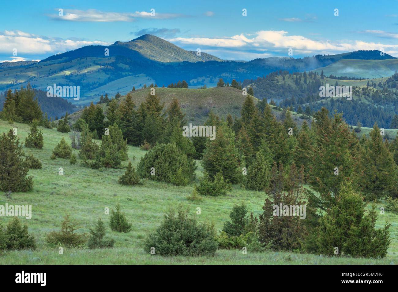 Gebirgsausläufer unterhalb der Granatreichweite bei Golden Creek, montana Stockfoto