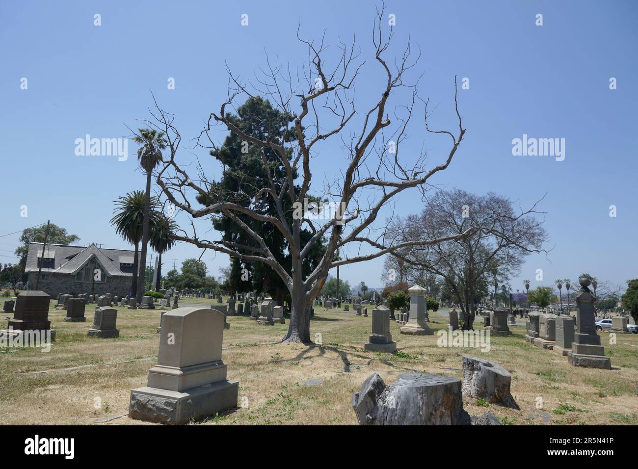 Los Angeles, Kalifornien, USA 3. Juni 2023 Evergreen Cemetery, 204 N. Evergreen Avenue, 3. Juni 2023 in Los Angeles, Kalifornien, USA. Foto: Barry King/Alamy Stock Photo Stockfoto