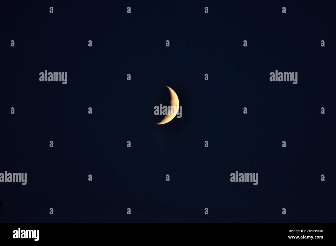 Crescent Moon bei Nacht Stockfoto