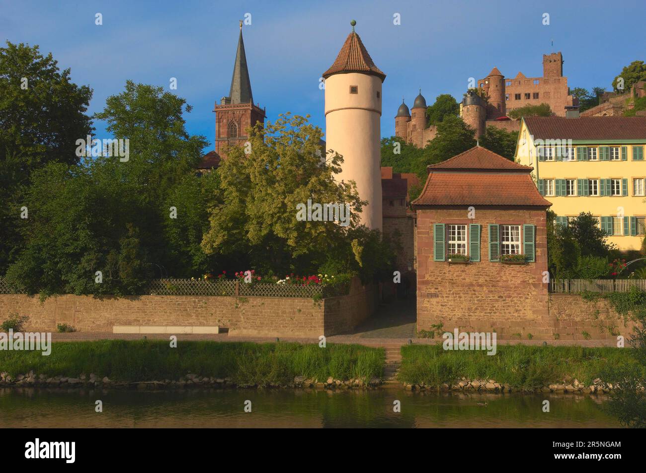 Wertheim, Tauber, Baden-Württemberg, Main-Tauber, Romantische Straße, Deutschland Stockfoto