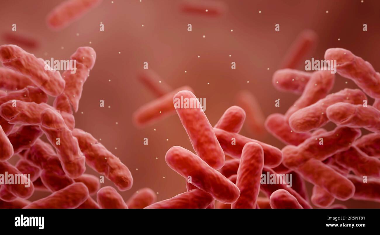 Antibiotikaresistente Bakterien, Abbildung Stockfoto