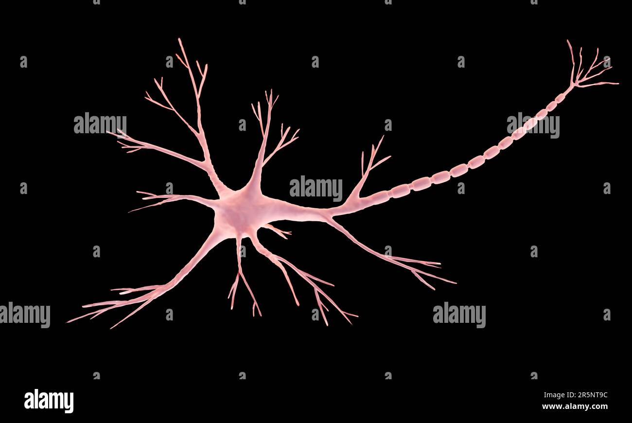 Neuron, Illustration Stockfoto