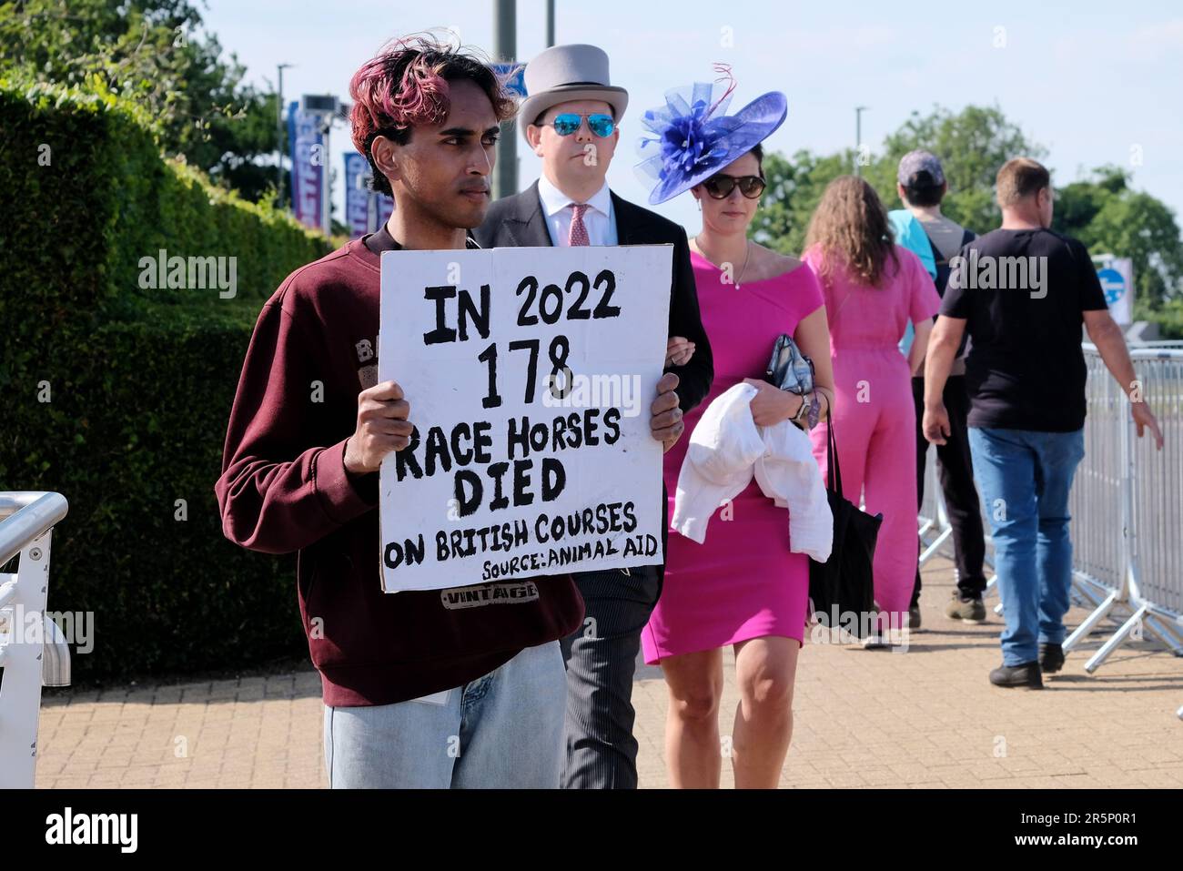 Epsom, Großbritannien. Racegoers passieren einen Tierrechtler am Derby-Tag und heben die Zahl der Todesfälle von Rennpferden im Jahr 2022 hervor. Stockfoto