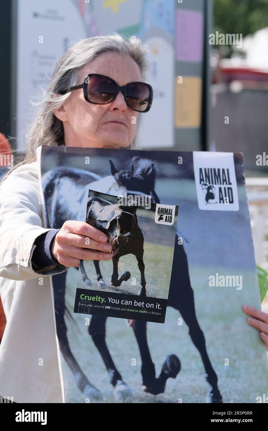 Epsom, Großbritannien. Ein Tierschutzprotestierer stellt sich ein ververletztes Rennpferd vor, um die Teilnahme an einem von ihnen als grausam empfundenen Sport abzuschrecken. Stockfoto