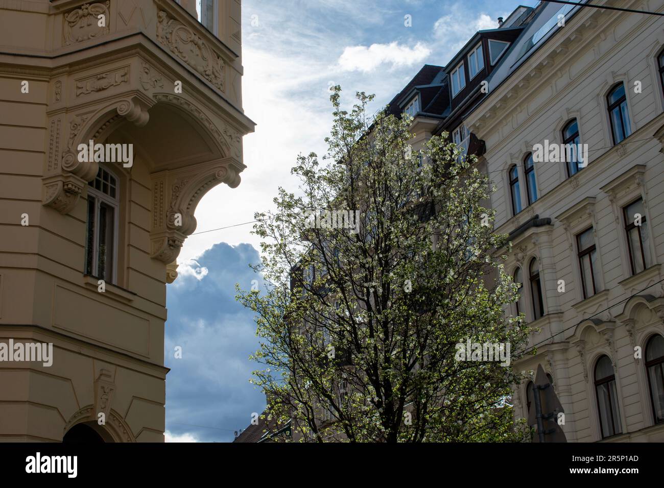 wien, österreich. 1. april 2023 wiens architektonischer Wandteppich enthüllt die Pracht der Straßen der Stadt Stockfoto