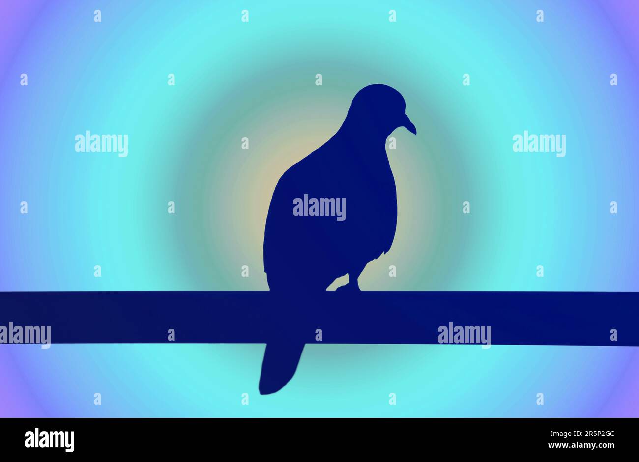 Silhouette einer Taube am Zaun vor dem Hintergrund des blauen Radius Stockfoto
