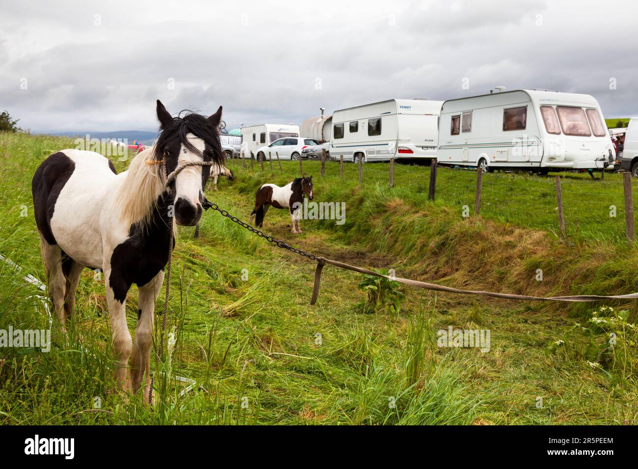 Die historische Appleby Horse Fair, Appleby-in-Westmorland, Cumbria, England, Großbritannien Stockfoto