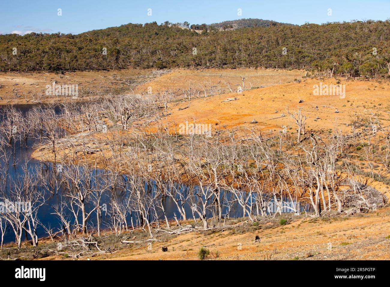 Ein Großteil Südostaustraliens war in den letzten 15 Jahren von einer schrecklichen Dürre betroffen. Der Eucumbensee in den Snowy Mountains ist auf ein sehr niedriges Niveau gefallen. Stockfoto