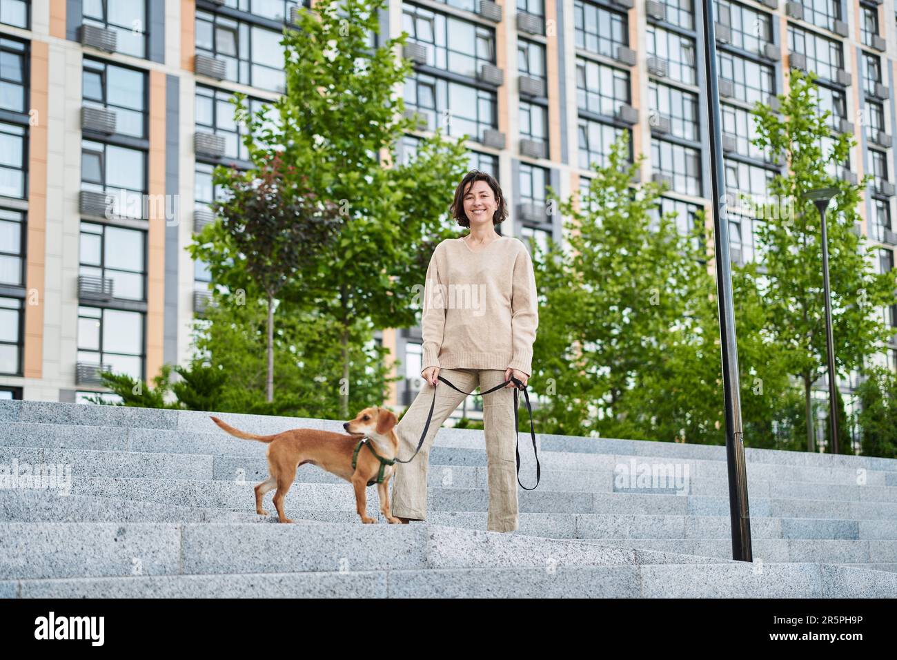 Junge, hübsche Erwachsene Frau mit einem kleinen Ingwerhund, die in der Stadt spazieren geht und Spaß hat. Blick auf die Stadt Foto in hoher Qualität Stockfoto