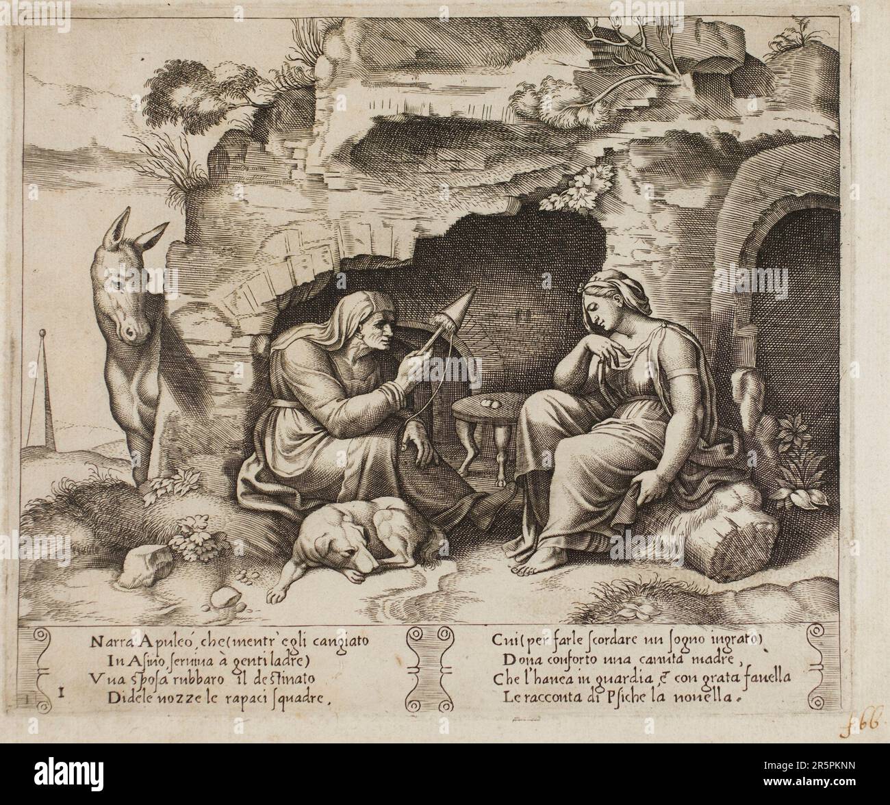 Apuleius verwandelt sich in einen Esel Datum: 1530/40 Künstler: Meister der Würfel (Italienisch, aktiv c. 1530-1560) Stockfoto