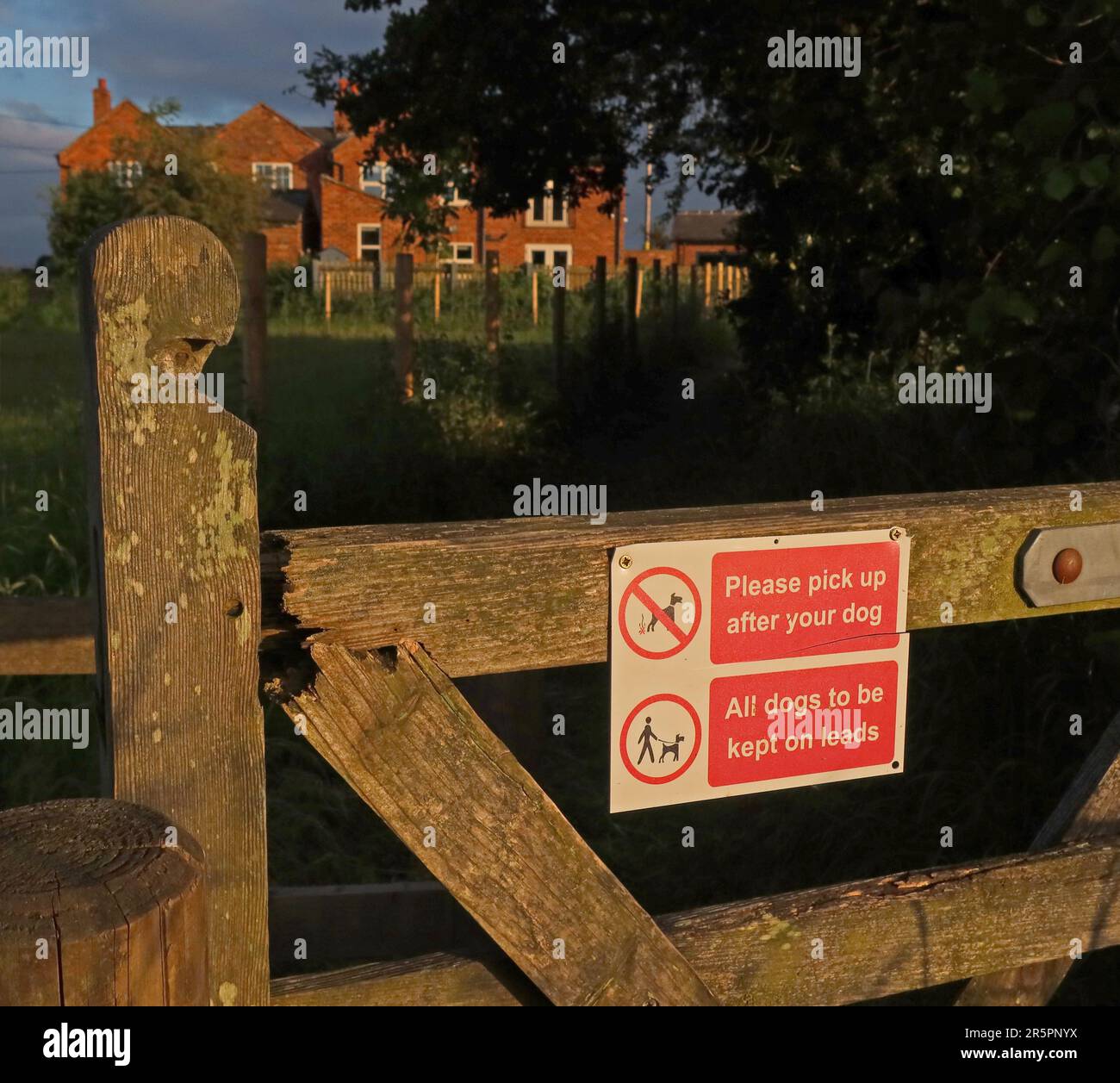 Am frühen Abend Schilder auf der Landschaft an einem hölzernen Tor, die Hundeführer daran erinnern, Hunde auf der Spur zu halten und sie im ländlichen England zu verfolgen. Stockfoto