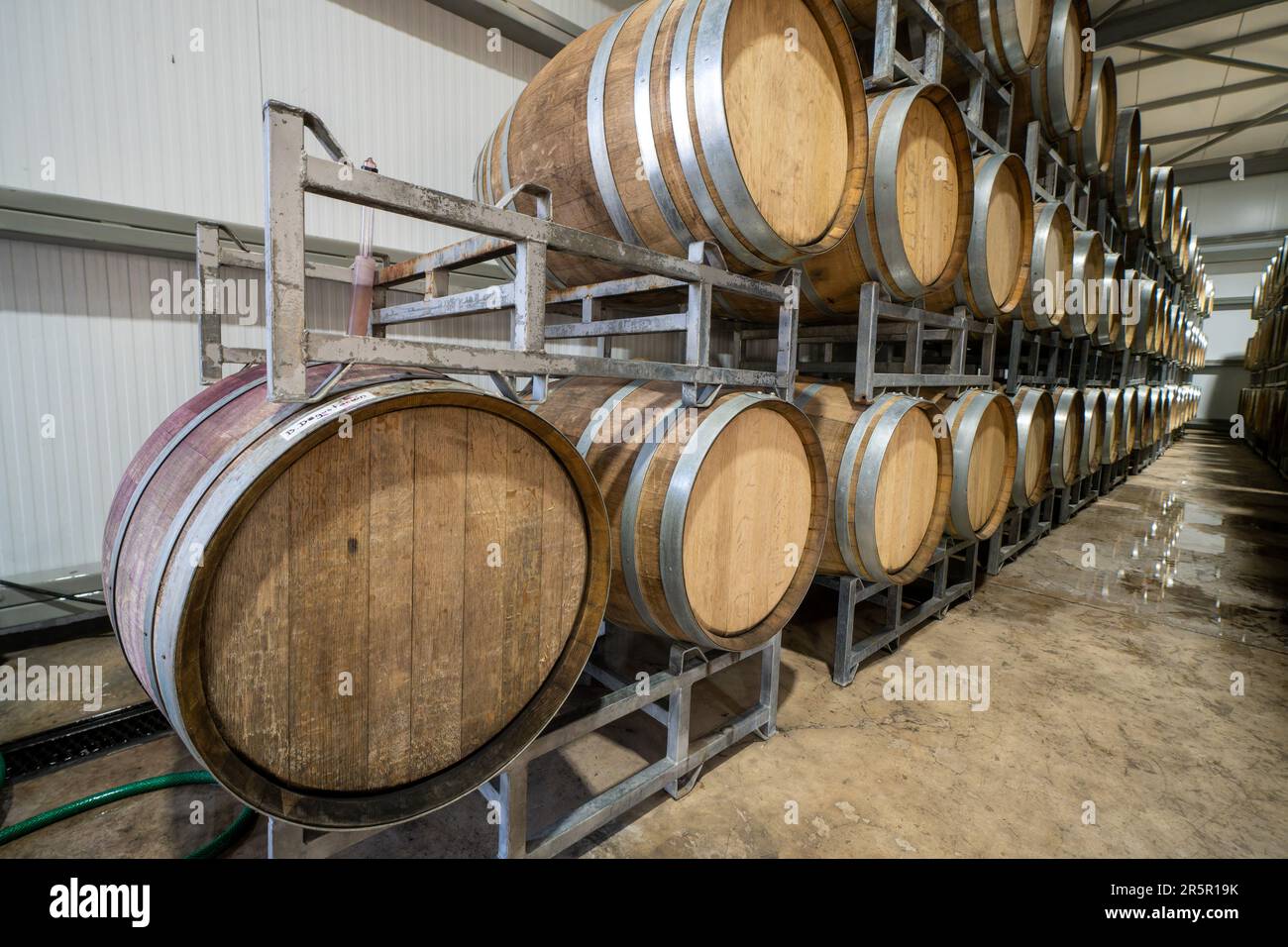 Eichenholzfässer für reifen Wein in der Weinkellerei La Azul bei Tupungato, Mendoza, Argentinien. Stockfoto