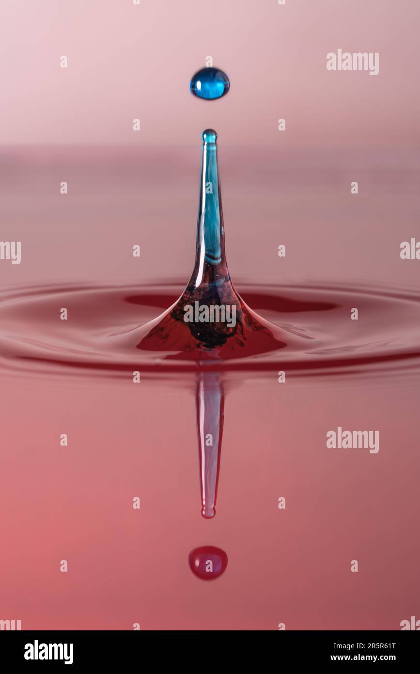 Ein leuchtend blauer und roter Flüssigkeitstropfen, der auf einer kleinen Menge klares Wasser ruht und ein auffälliges Erscheinungsbild erzeugt Stockfoto