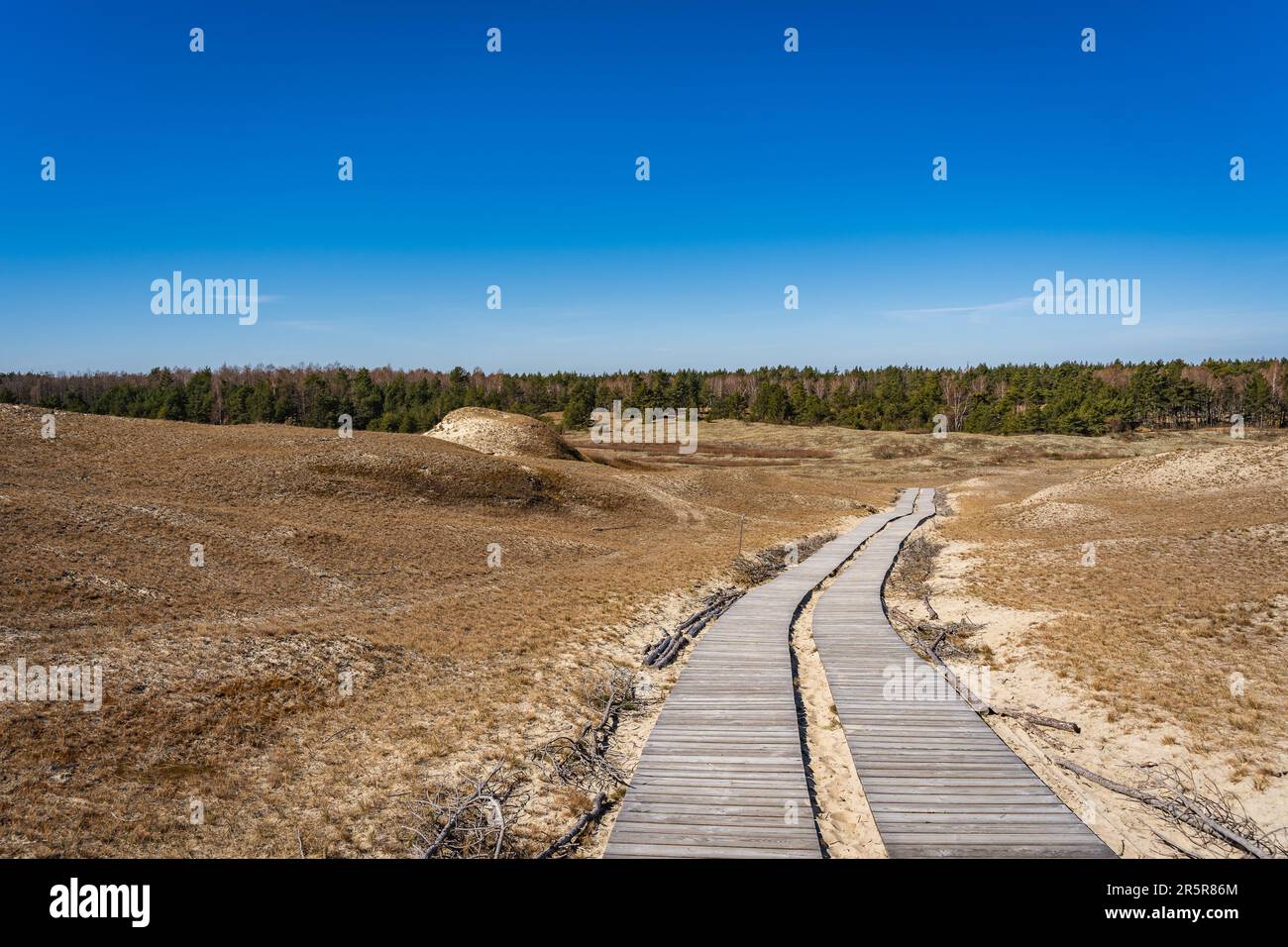 Hölzerner Fußweg auf den Toten Dünen oder Graue Dünen, Kurische Nehrung, Neringa, Litauen Stockfoto