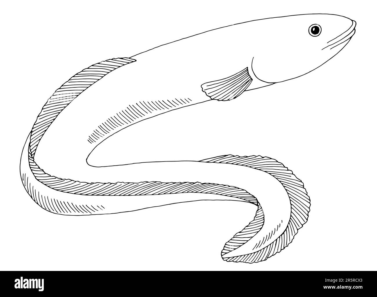 Akne-Fisch-Grafik schwarz-weiß isolierter Illustrationsvektor Stock Vektor