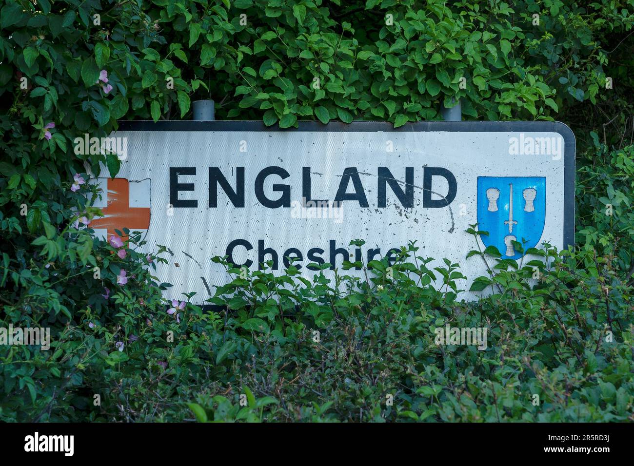 Ein englisches Cheshire-Schild neben der A534, die die Grenze von Wales nach England bei den Dörfern holt und Farndon in Nordost-Wales UK überquert Stockfoto