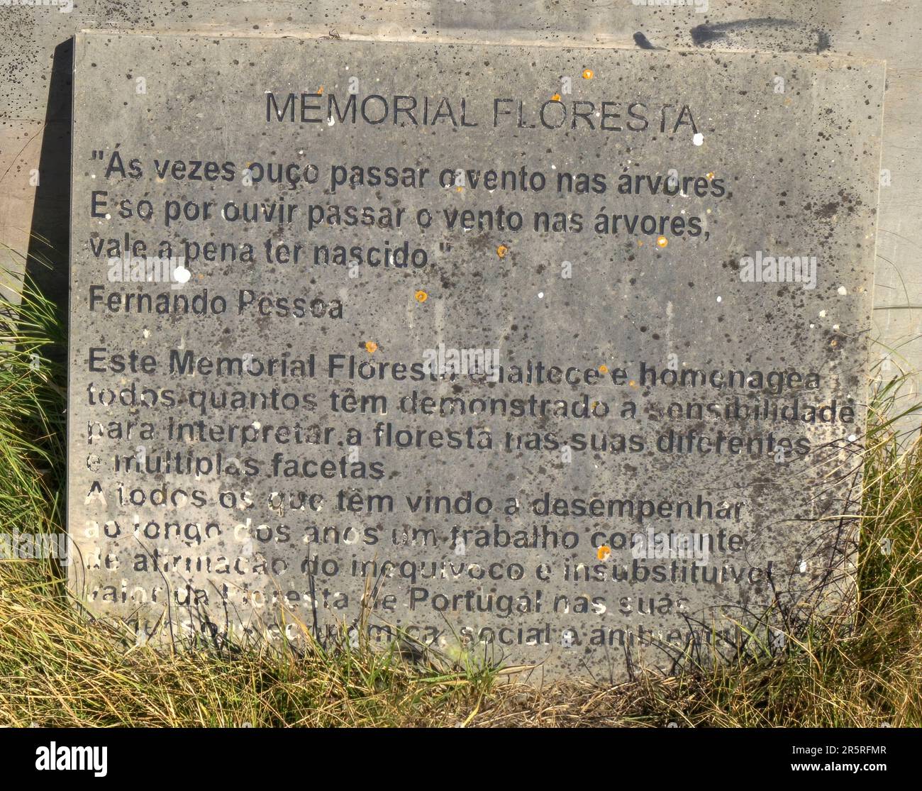 Quiaios, Portugal - 14. August 2022: Steindenkmal aus nächster Nähe am Aussichtspunkt in einer natürlichen Parklandschaft mit Blick auf Quiaios am Meer Stockfoto