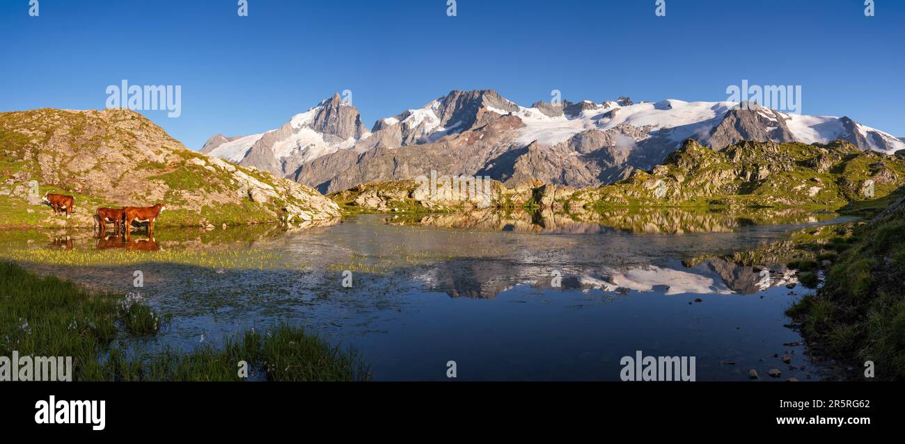 Lerie-See im Oisans-Massiv mit Panoramablick auf den Gipfel La Meije im Ecrins-Nationalpark bei Sonnenuntergang. Emparis Plateau. Hautes-Alpes, Alpen, Frankreich Stockfoto