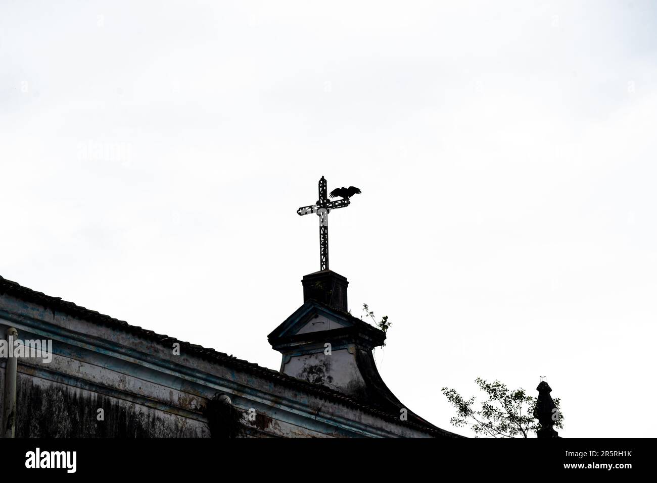 Ein Geier auf dem Kreuz einer katholischen Kirche. Stadt Valenca, Bahia. Stockfoto