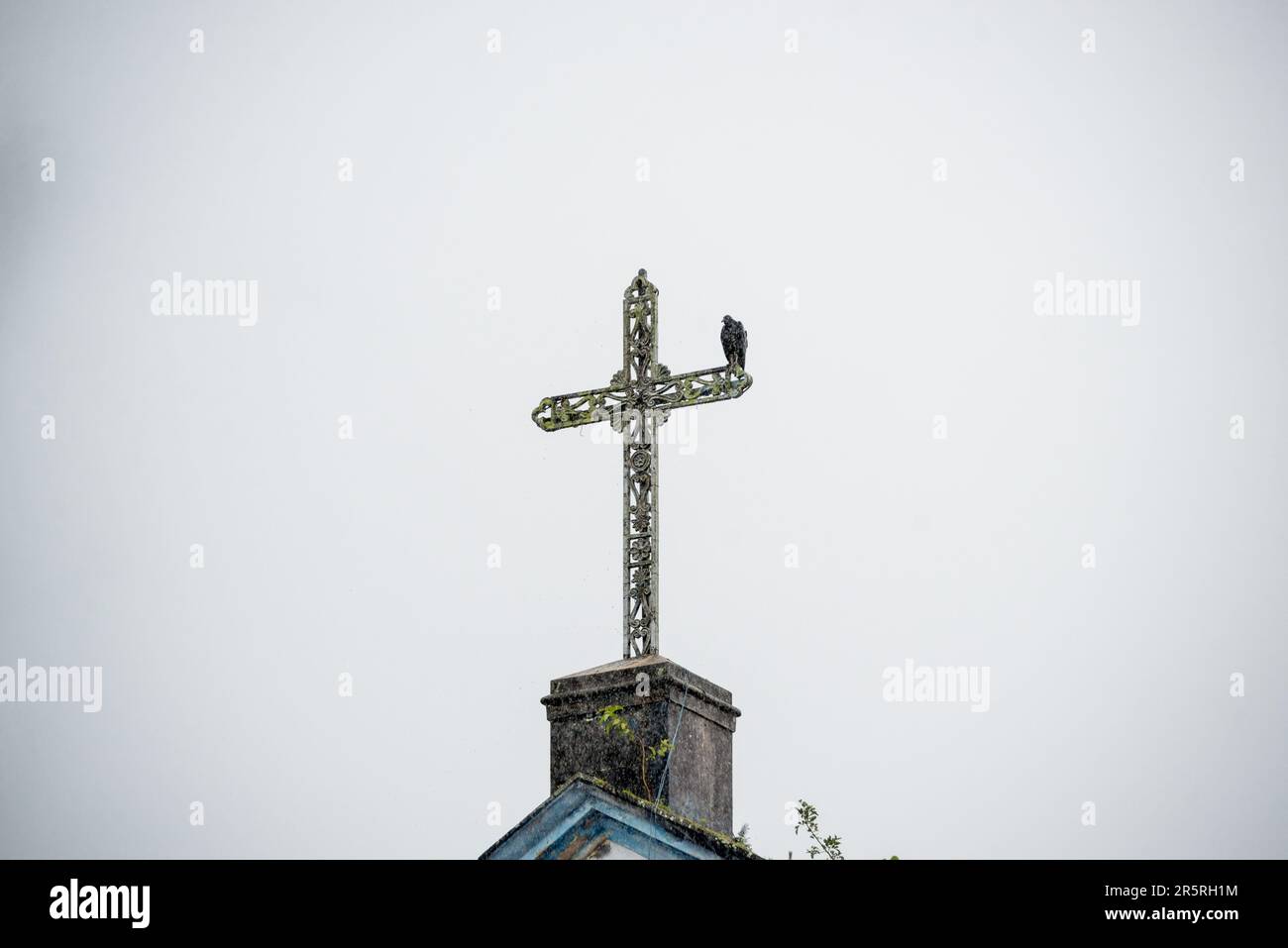 Ein Geier auf dem Kreuz einer katholischen Kirche. Stadt Valenca, Bahia. Stockfoto