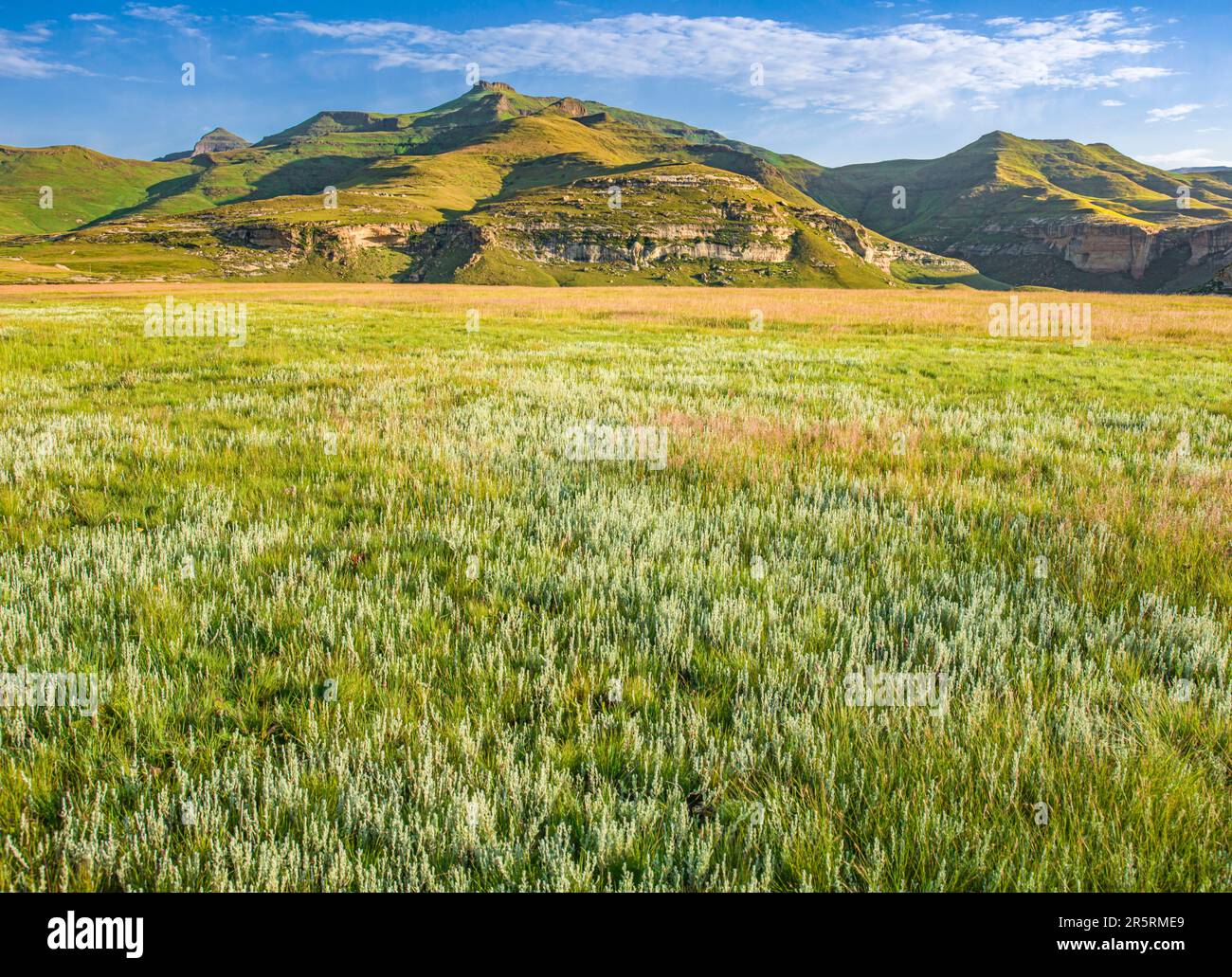 Südafrika, Freistaat, Maloti-Drakensberg-Park (UNESCO-Weltkulturerbe), Golden Gate Highlands-Nationalpark Stockfoto