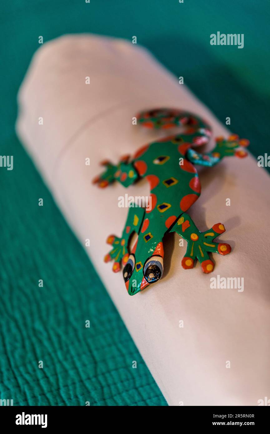 Frankreich, Karibik, Kleinen Antillen, Guadeloupe, Basse-Terre, Deshaies, Au Jardin des Colibris, eine charmante und ungewöhnliche Unterkunft mit der Bezeichnung Esprit Parc national, die von der Liga zum Schutz der Vögel (LPO) als Zufluchtsstätte eingestuft wurde; eine wahre Oase des Friedens für die Vogelwelt und für diejenigen, die in diesem 10.000 Hektar großen Wald Harmonie und Wohlbefinden finden Stockfoto