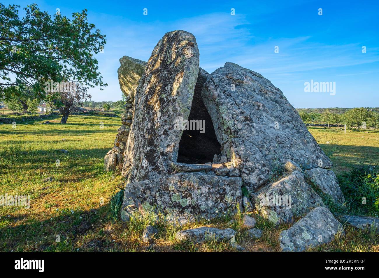 Portugal, Region Alentejo, Umgebung von Castelo de Vide, Megalithic Park Coureleiros (4000 bis 3000 v. Chr.) Stockfoto