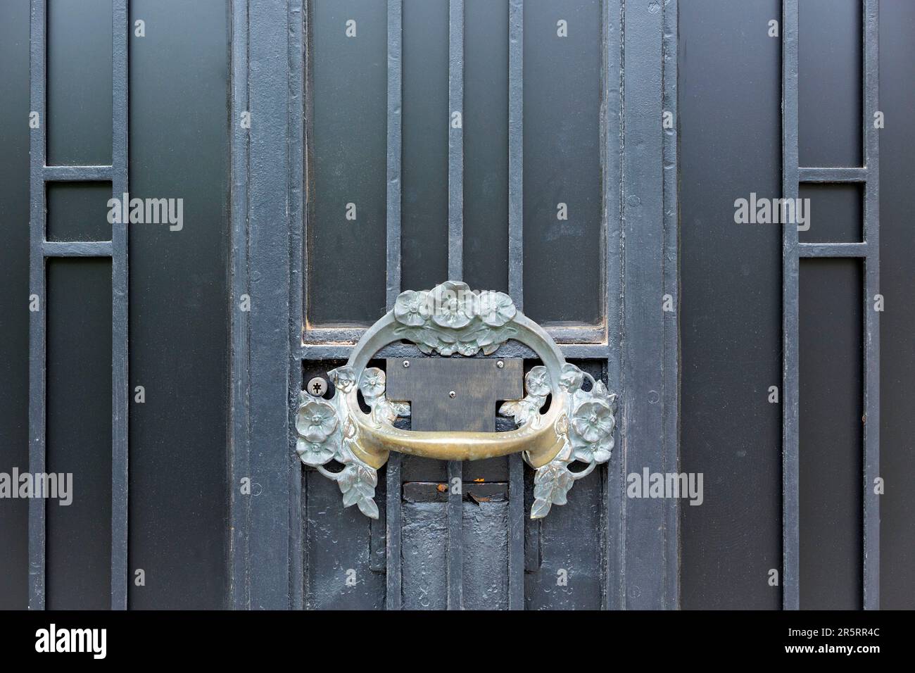 Frankreich, Meurthe et Moselle, Nancy, Details der Eisenarbeiten aus Schmiedeeisen der Tür im Jugendstil eines Hauses am Quai Ligier Rich Stockfoto