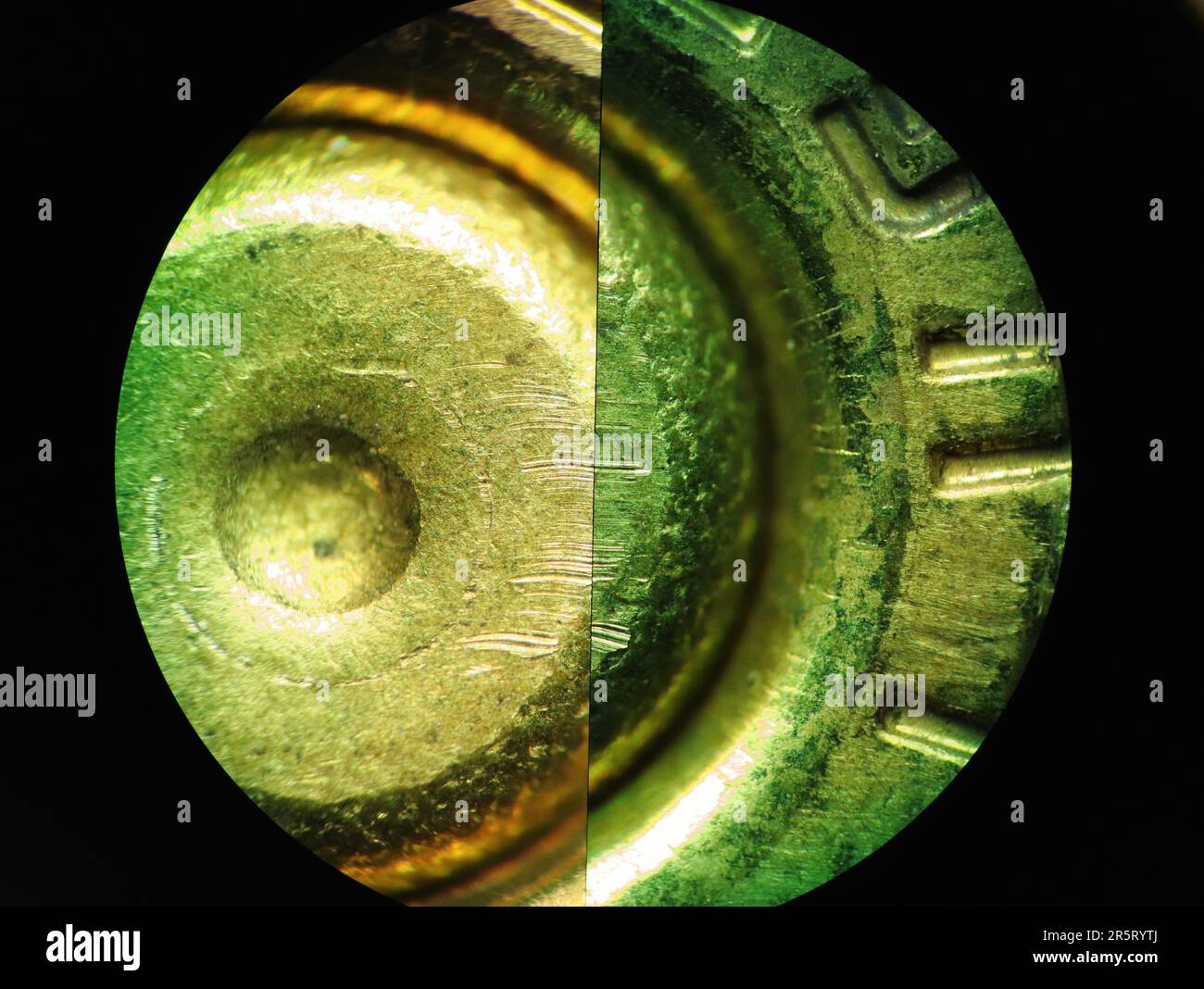 Mikroskopischer Vergleich der Kartuschen Stockfoto