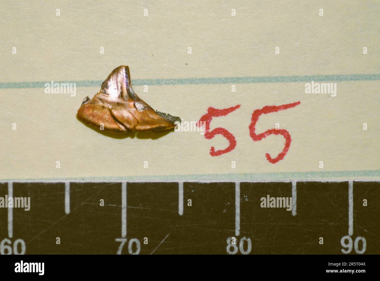 Kugelfragment aus der Nähe Stockfoto