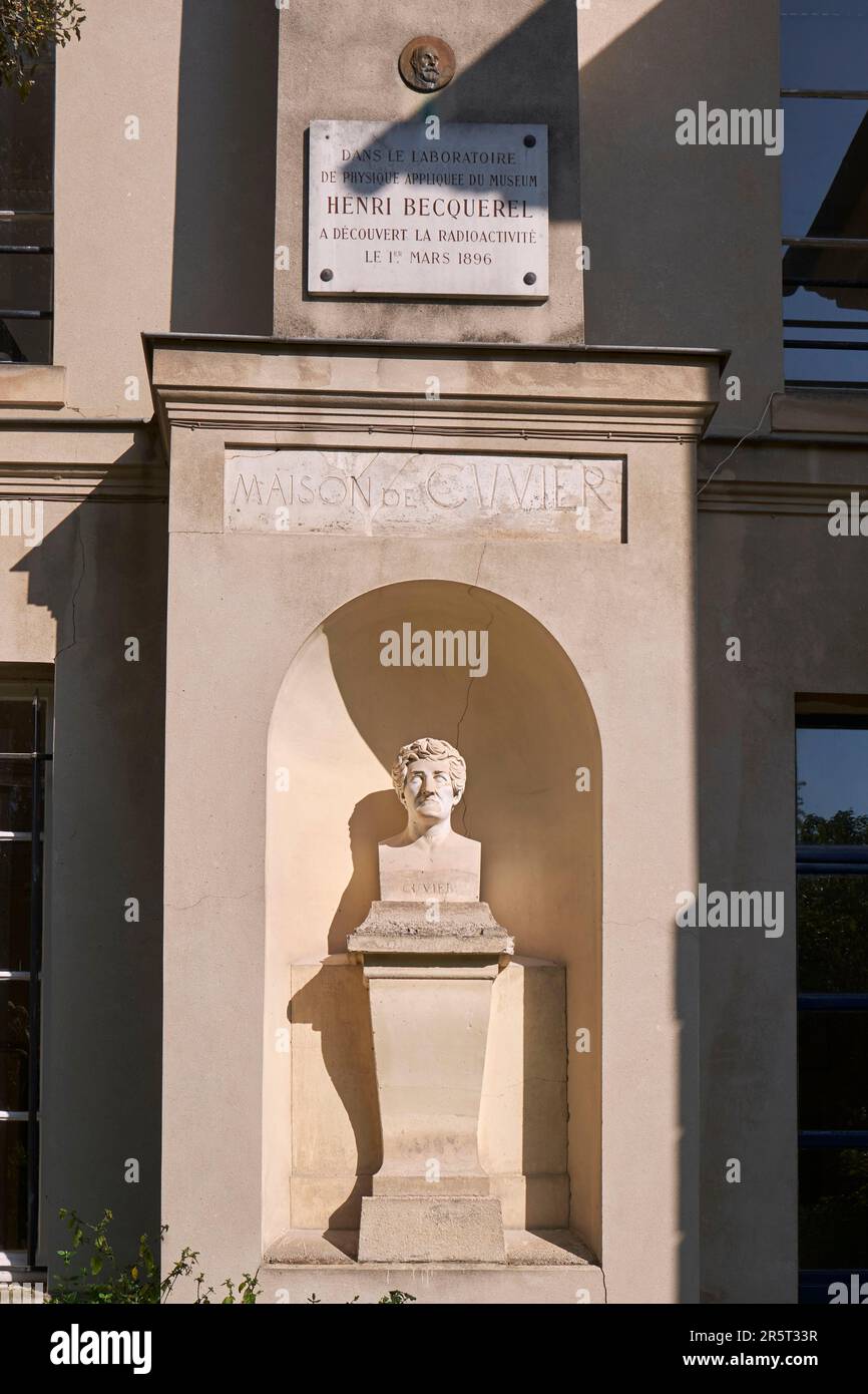 Frankreich, Paris, Nationalmuseum für Naturgeschichte, Jardin des Plantes, das Cuvier-Haus mit seiner Sonnenuhr, das Hauptquartier der Gesellschaft der Freunde des Museums, Georges Cuvier-Büste und eine Platte, die im Labor für angewandte Physik des Museums anzeigt, entdeckte Henri Becquerel am 1. März 1896 Radioaktivität Stockfoto