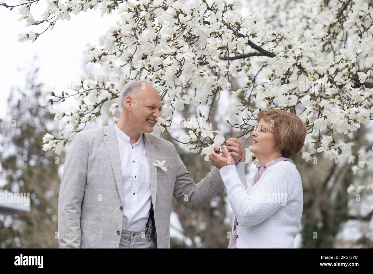 Ein verliebtes Paar genießt den Frühling in der Nähe einer weißen blühenden Magnolie Stockfoto
