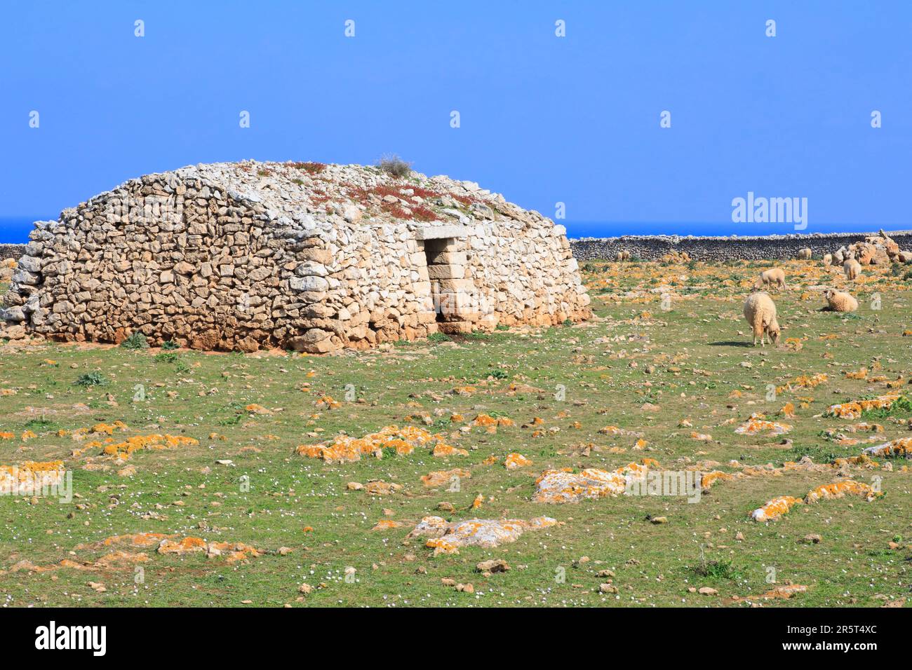 Spanien, Balearen, Menorca, Straße zum Leuchtturm von Punta Nati, Trockensteinhütte (Barraca) zur Unterbringung von Vieh (Schafe) Stockfoto