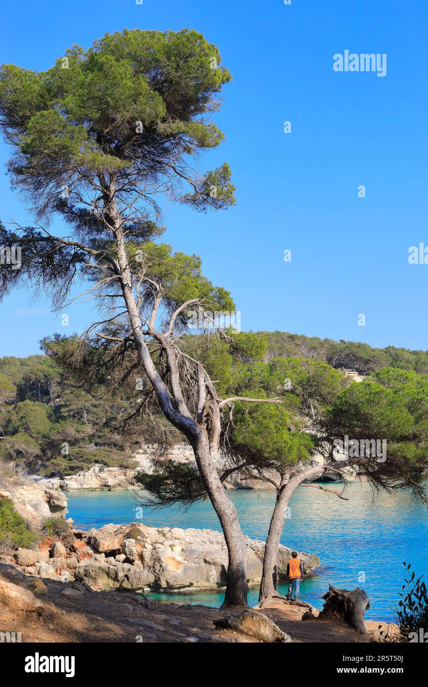 Spanien, Balearen, Menorca, Ferreries, Mitjaneta Beach, Ein Kind am Fuß einer Kiefer Stockfoto