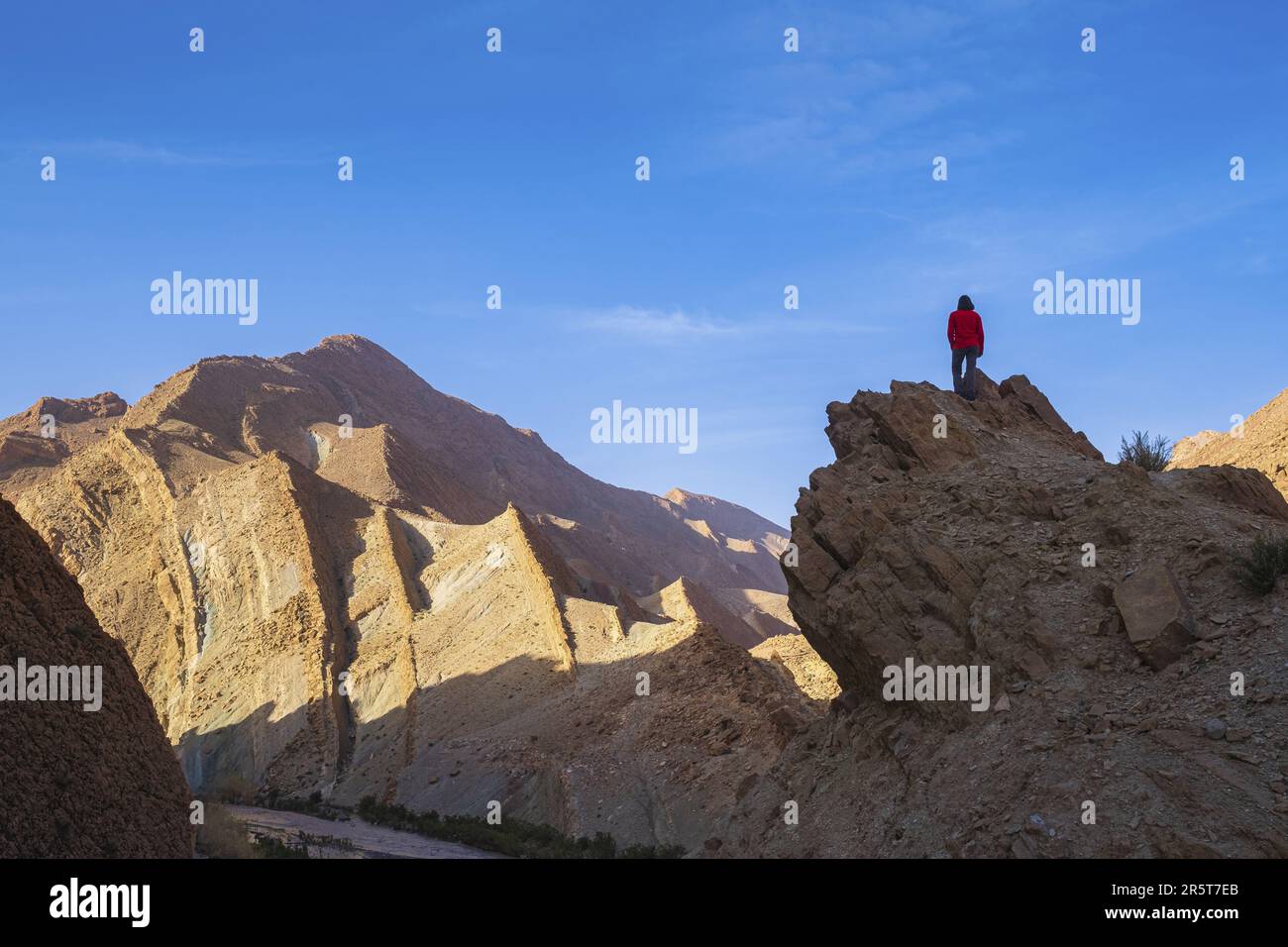 Marokko, Rosental, geologische Falten am Ufer des Oued M'Goun Stockfoto